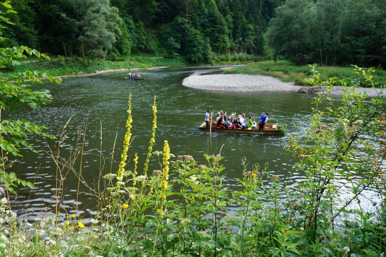 Rekreacna Usadlost Pieninka Lesnica Exteriör bild
